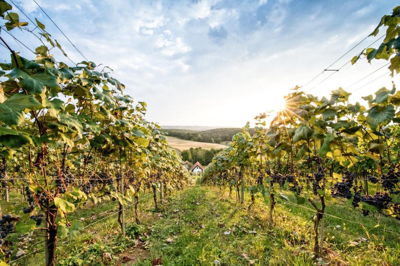 Wiener Kellerstoeckl - Das 13Er Eltendorf エクステリア 写真