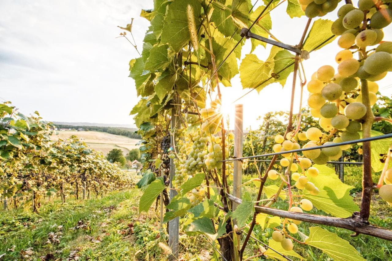 Wiener Kellerstoeckl - Das 13Er Eltendorf エクステリア 写真