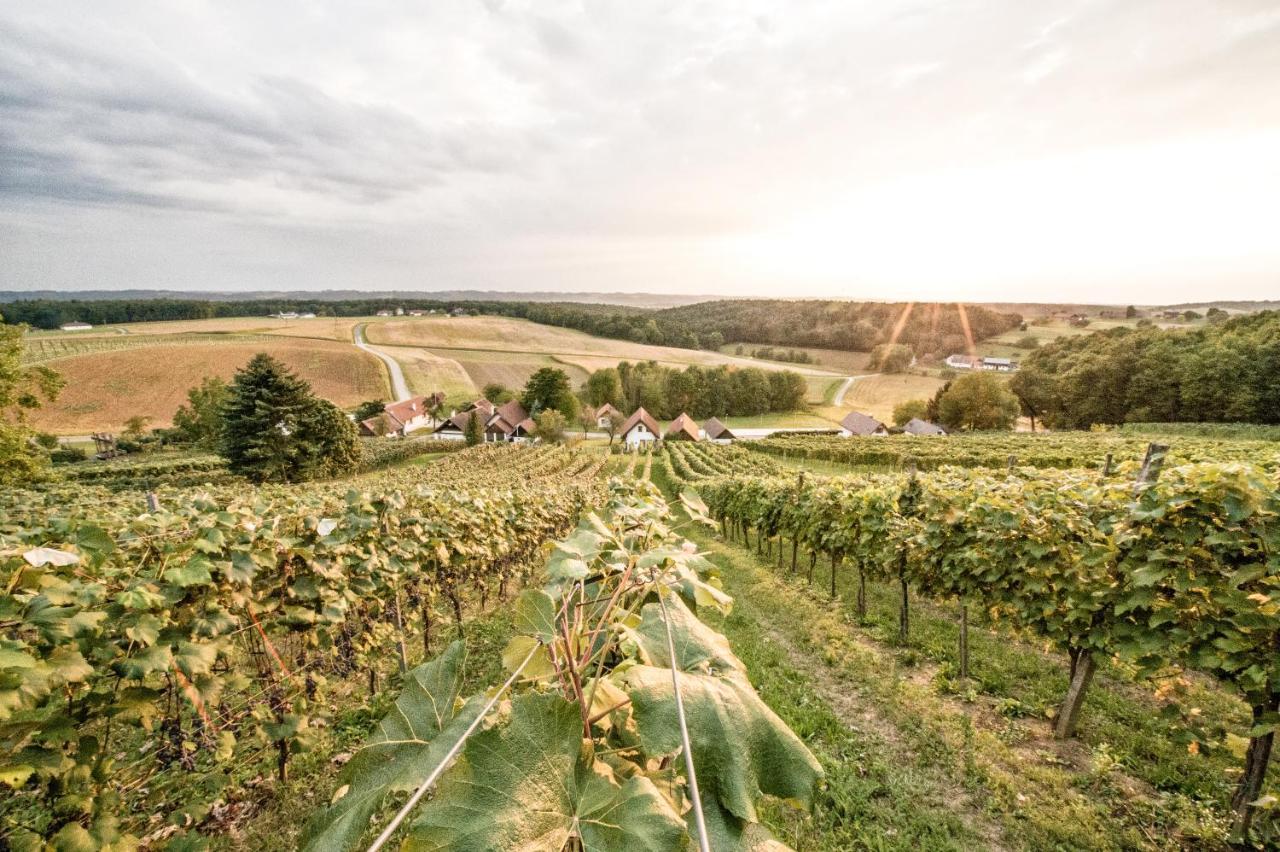 Wiener Kellerstoeckl - Das 13Er Eltendorf エクステリア 写真